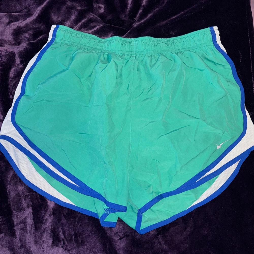 Nike Green and Blue Athletic Shorts